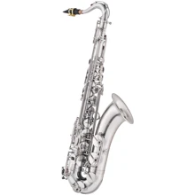 Тенор саксофон J.MICHAEL TN-1100SL (S) Tenor Saxophone: Производитель J.MICHAEL