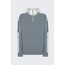 Спортивный худи Arena Padded Hoodie Team (004841-551) 50 серый с капюшоном: Вид Спортивные худи