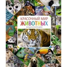 Красочный мир животных: Производитель Махаон