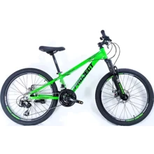 Велосипед Corso 24" Project P-24119: Діаметр коліс, дюймів 24