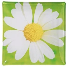 Тарілка обідня Luminarc Paquerette D8723 (255мм.): undefined undefined