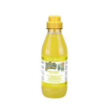 Шампунь Iv San Bernard Ginger and Elderberry дезинфицирующий с бузиной и имбирем 500 мл (1562 NSHAZE500): Тип средства Шампуни