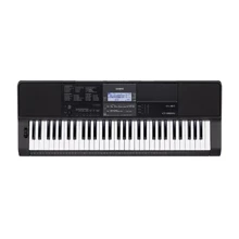 Синтезатор CASIO CT-X800C7: Тип Профессиональные