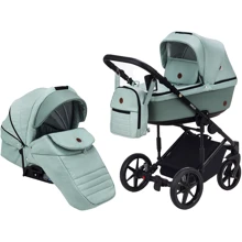 Коляска 2 в 1 Adamex Amelia Tip AM260 (624671): Тип коляски универсальная коляска (2-в-1)