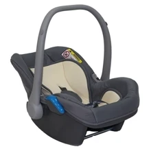 Автокресло Anex Sport Q1 (PA06) (grey beige): Группа 0+