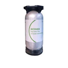 Вино игристое Bedin Bianco Frizzante IGT Veneto in Keg белое сухое 20л (VTS2537310): Объем, л 20