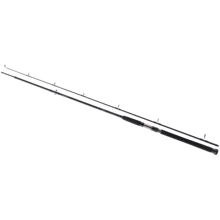 Спінінгові вудилище Daiwa Exceler Catfish Spin 2.40m -185gr: Тип вудлища спиннинговое