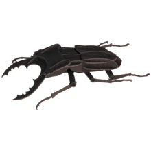 Жук Beetle Fridolin 3D модель: Вид Флора і фауна