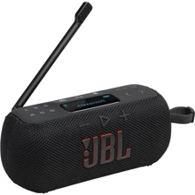 Акустика JBL Tuner 3 Black (JBLTUNER3BLK) UA: Тип портативная