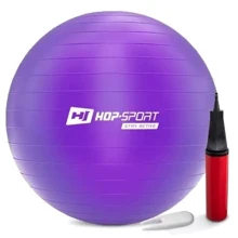 Мяч для фитнеса Hop-Sport HS-R065YB violet 65 см + насос: Диаметр, см 65