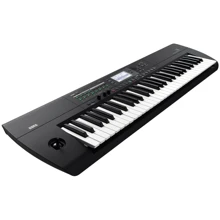 Синтезатор KORG I3 MB: Тип Профессиональные