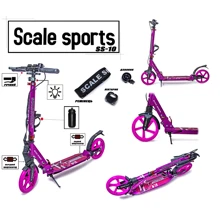 Двухколесный самокат Scale Sports SS-10. Pink (ручной тормоз, Led-фонарик) 1610900110: Количество колес 2