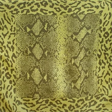 Платок женский Codello зеленый (C270245-green): Пол Женский