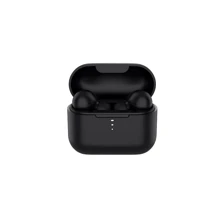 Наушники QCY T11 Black: Тип конструкции вакуумные