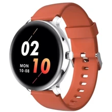 Смарт-часы Blackview X2 Silver: Емкость батареи, мАч 260