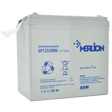 Merlion 12V-55Ah (GP12550M6): Тип Аккумулятор