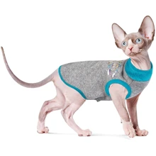 Свитер Pet Fashion Bruce бирюза XXS для котов (4823082418091): undefined undefined
