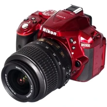 Nikon D5300 Kit (18-55mm) VR II Red: Тип матрицы CMOS