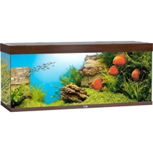 Аквариум Juwel Rio 450 LED 151x66x51 см коричневый (5750): Производитель Juwel