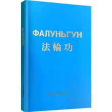 Лі Хунчжі: Фалуньгун: Производитель Фенікс