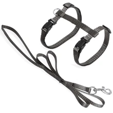 Шлея и поводок для котов Flamingo Cat Harness and Leash Ziggi серый (56247): Производитель Flamingo