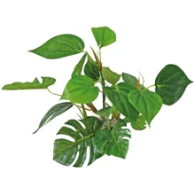 Растение искусственное Amtra Replica Anubias 20 см (A8011401): undefined undefined