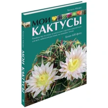 Мои Кактусы: Производитель Слово