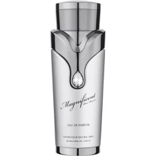 Парфюмированная вода Sterling Magnificent Pour Homme 100 ml: Вид Парфюмированная вода