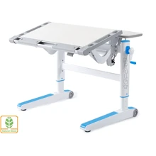 Детский стол Mealux Ergowood L (BD-810 TG/BL): Тип Парта