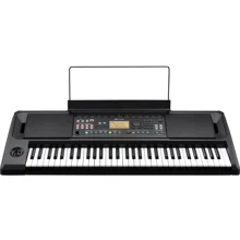 Синтезатор з автоакомпанементом Korg EK-50: Тип Развлекательные