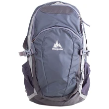 Мужской рюкзак Onepolar серый (W1739-grey): Пол Мужской