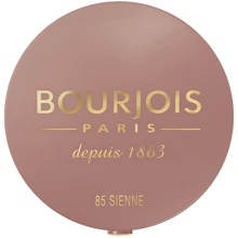 Bourjois Pastel Joues №85 Sienne Рум'яна для обличчя 2.5 g: Вид Румяна