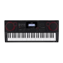 Синтезатор CASIO CT-X3000C7: Тип Профессиональные