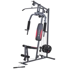 Фитнес станция inSPORTline ProfiGym N10 + тяга (7185): Тип конструкции стационарный