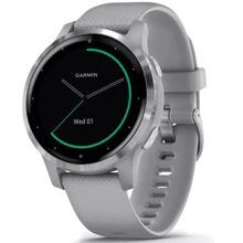 Смарт-часы Garmin Vivoactive 4S Silver Stainless Steel Bezel with Powder Gray Case and Silicone Band (010-02172-03/02): Производитель Garmin