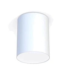 Люстра Nowodvorski 9685 Cameron E27 1x25W IP20 Wh: Тип Люстри з абажуром