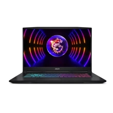 Ноутбук MSI Katana (B12VEK-434XUA) UA: Экран 17.3" IPS (1920x1080)