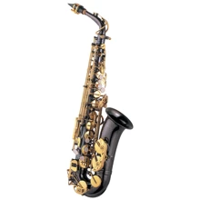 Альт саксофон J.MICHAEL AL800BL (S): Производитель J.MICHAEL