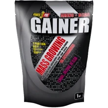 Гейнер Power Pro Gainer 1000 g /25 servings/ Лесная ягода: Тип Высокоуглеводные