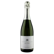 Шампанське Brundlmayer Blanc de Blancs Extra Brut Reserve (0,75 л) (BW40265): Об'єм, л 0.75