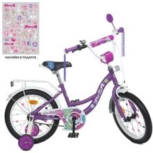Велосипед Profi Blossom фиолетовый (Y16303N): Тип 2х колесный велосипед