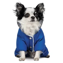 Костюм для собак Pet Fashion ZHAN XS2 (PR243238): Тип Костюмы