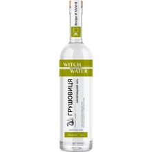 Напій міцний фруктовий Witch Water Grushovytsia Грушовиця 40% 0.5 л (VTS6344037): Об'єм, л 0.5