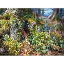 Пазлы Castorland 2000 Лесная поляна C-200764: Производитель CASTORLAND