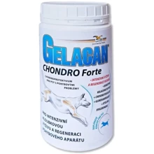 Пищевая добавка для собак Gelacan Chondro Forte для восстановления опорно-двигательного аппарата 150 г (8594004695895): Производитель Gelacan