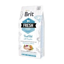 Сухой корм Brit Fresh Fish/Pumpkin для взрослых собак крупных пород 12 кг (8595602530779): Тип Сухой корм