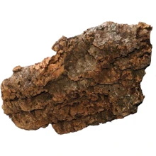 Декорация Amtra Piatta Коряга плоская 55х30 см (A8050151): undefined undefined