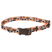 Ошейник для собак Coastal Pet Attire Style 1.6x25-36 см оранжевый (44481): Производитель Coastal