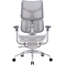 Офисное кресло Sihoo DORO S300 Mesh Light Grey (S300-M202): Тип для руководителей