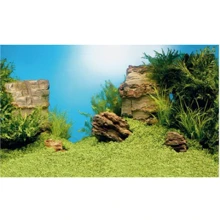 Фон Juwel Poster L 100х50 см (4022573862607): undefined undefined